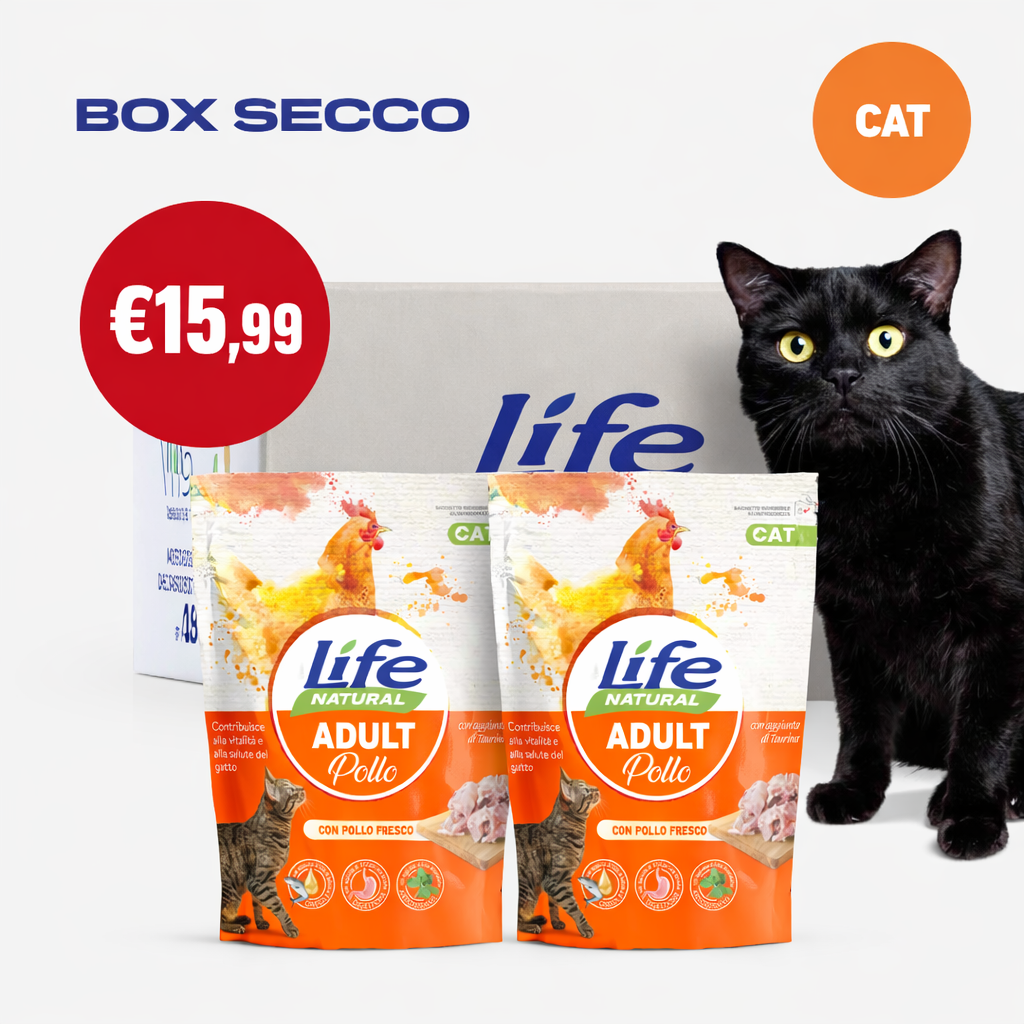 BOX SECCO GATTO - 2 CONFEZIONI DA 800 GR