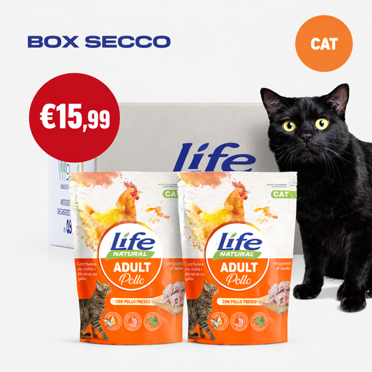 BOX SECCO GATTO - 2 CONFEZIONI DA 800 GR