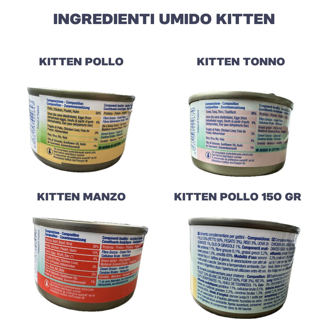 BOX UMIDO KITTEN - MISTO