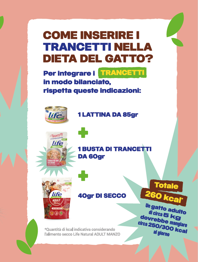 BOX TRANCETTI GRAIN FREE - 10 BUSTE DA 55 GRAMMI