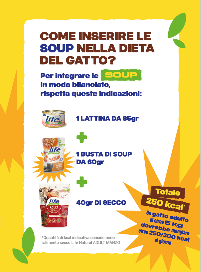 BOX SOUP GRAIN FREE - 10 BUSTE DA 60 GRAMMI