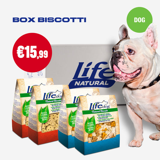 BOX BISCOTTI - 4 CONFEZIONI DA 500 GR