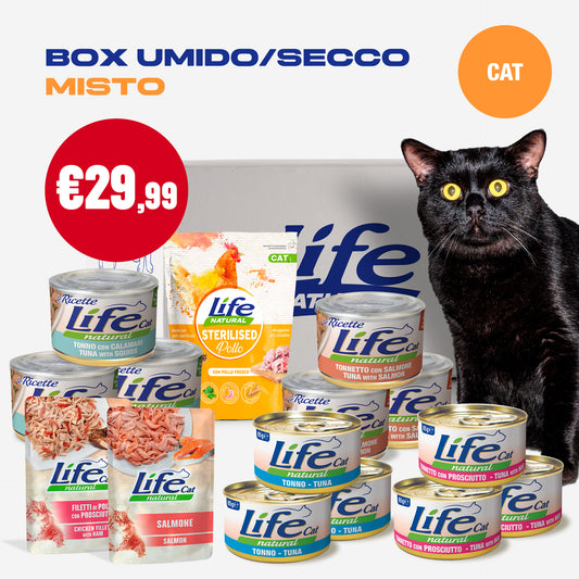 BOX MISTO UMIDO/SECCO GATTO