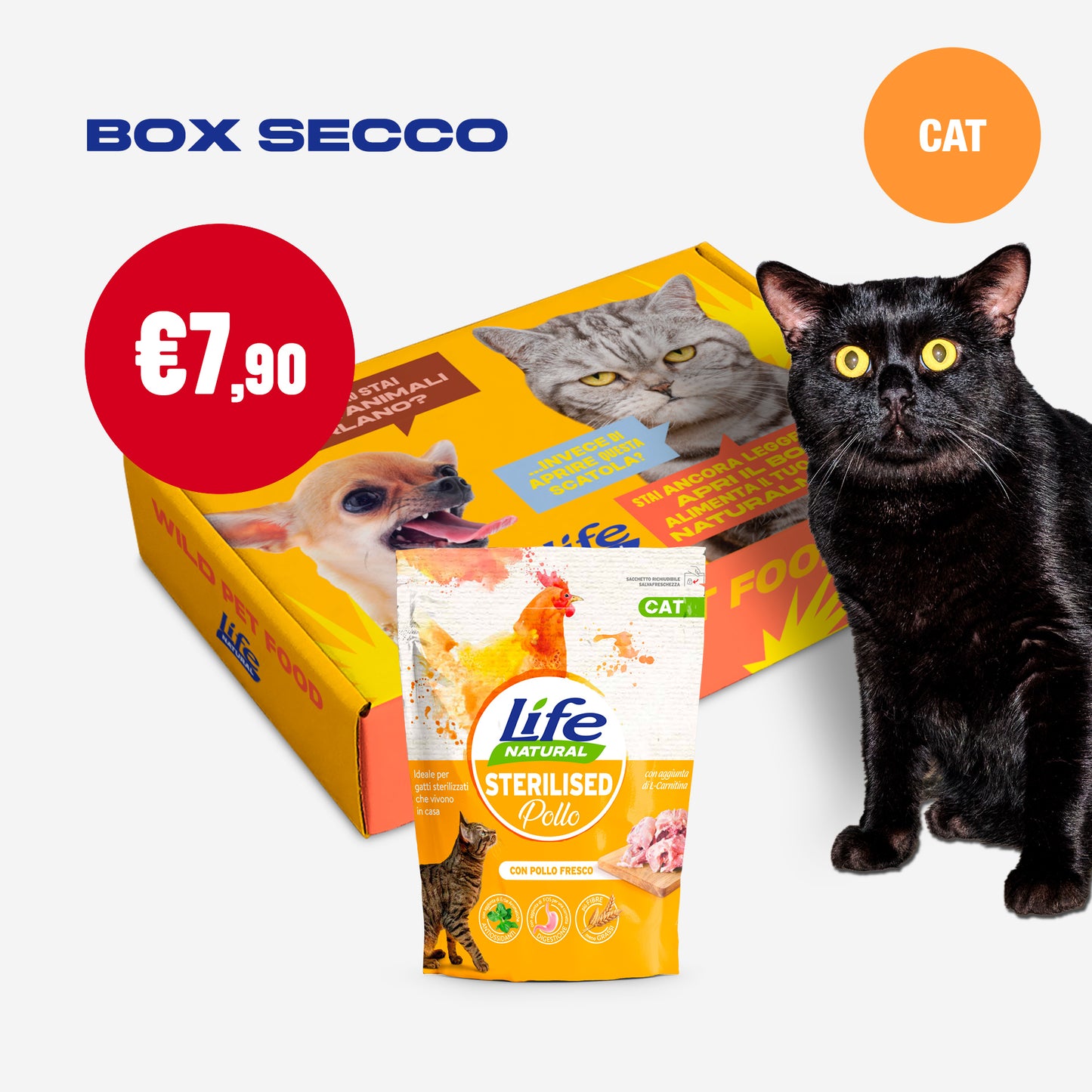 BOX SECCO GATTO - 1 CONFEZIONE DA 800 GRAMMI
