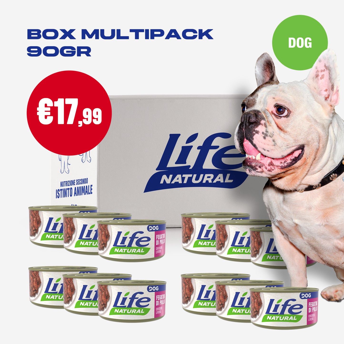 BOX 90 GRAMMI - 12 LATTINE DA 90 GR