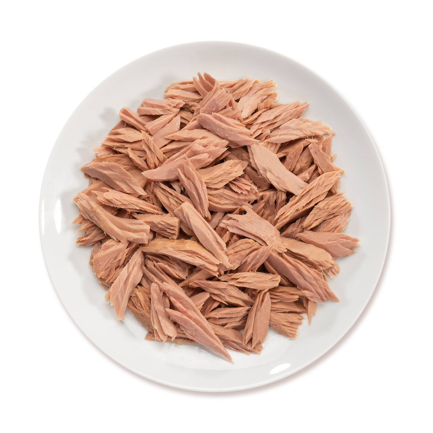 BOX MISTO UMIDO/SECCO GATTO