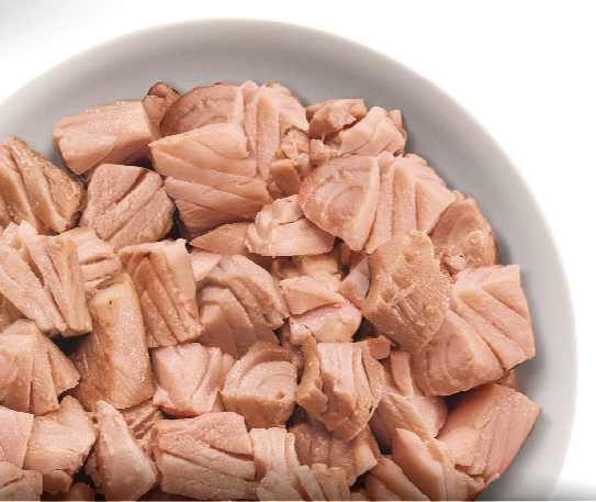 BOX MISTO UMIDO/SECCO - CANE