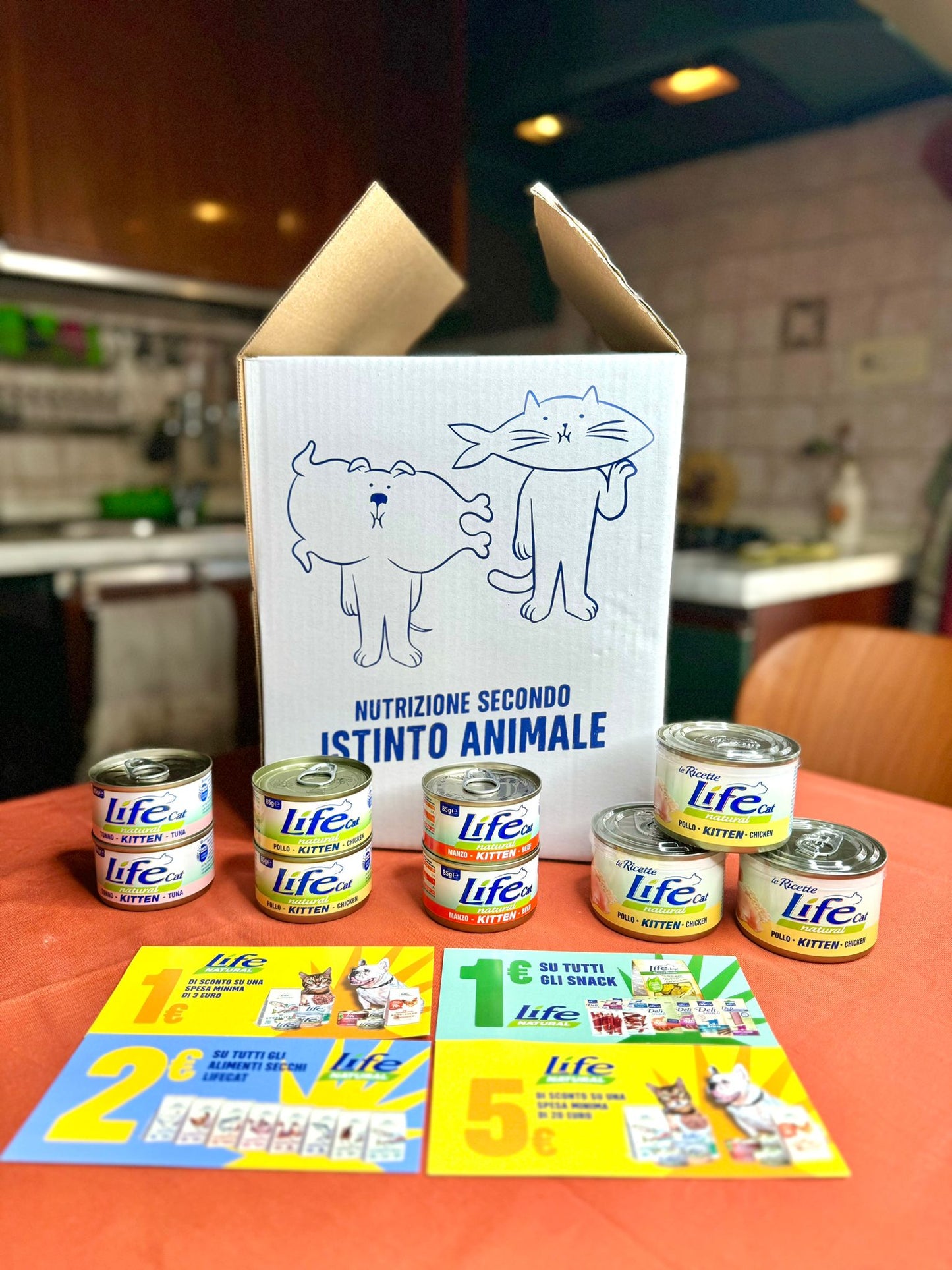 BOX UMIDO KITTEN - MISTO