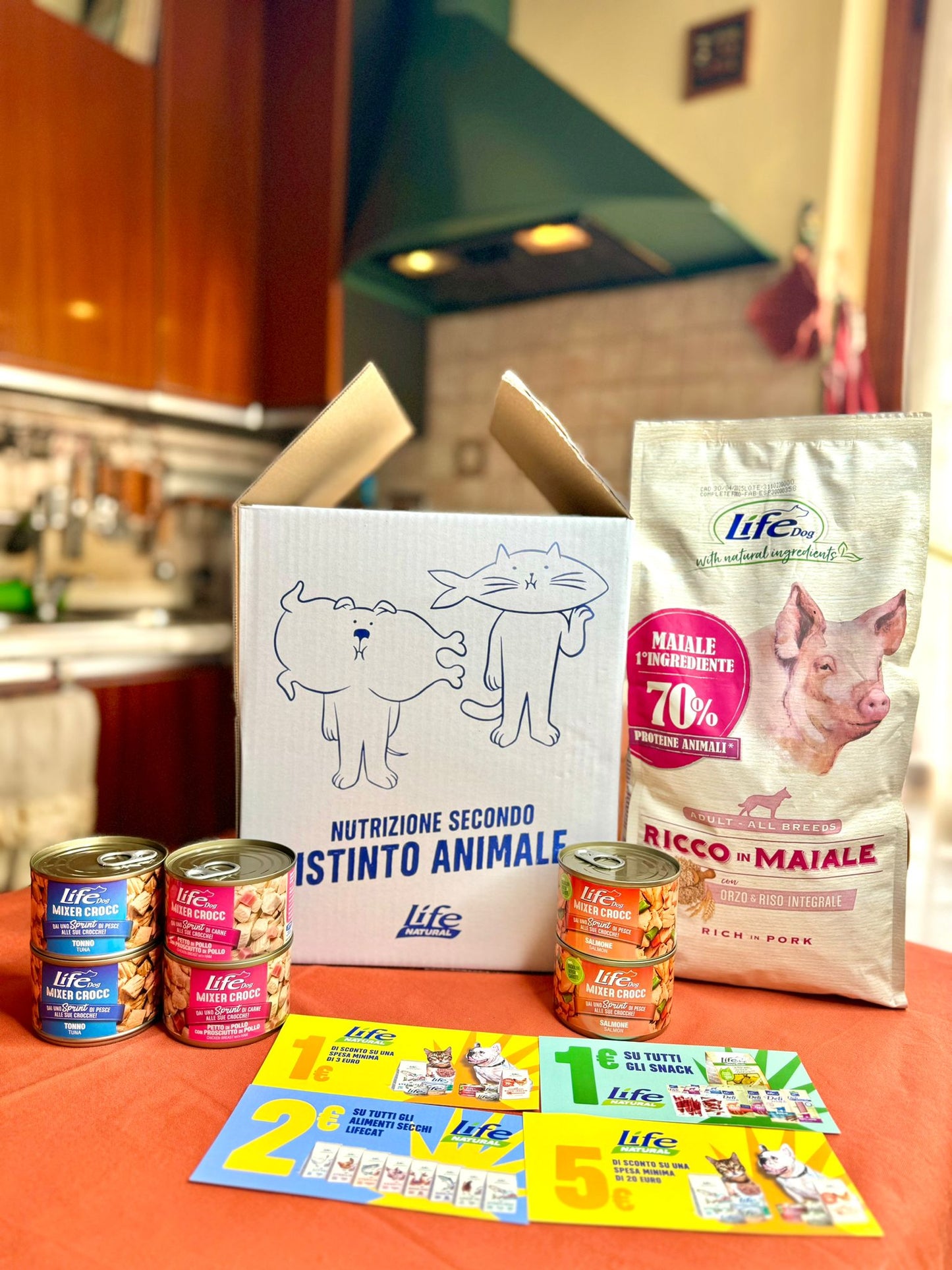 BOX MISTO UMIDO/SECCO - CANE